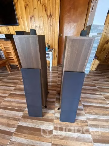 Columnas de audio hifi