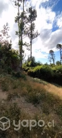 Terreno de media hectárea, en parcelación Ancud