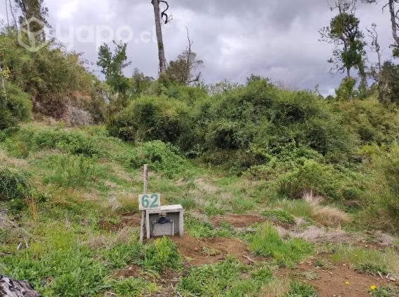 Terreno de media hectárea, en parcelación Ancud