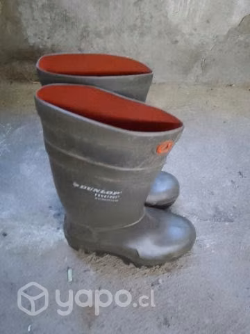 Botas temicas