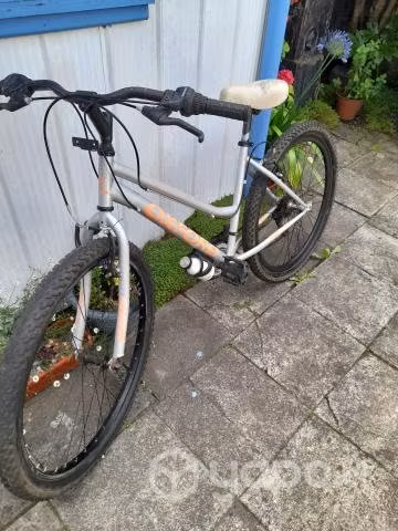 Bicicleta - Imagen 2