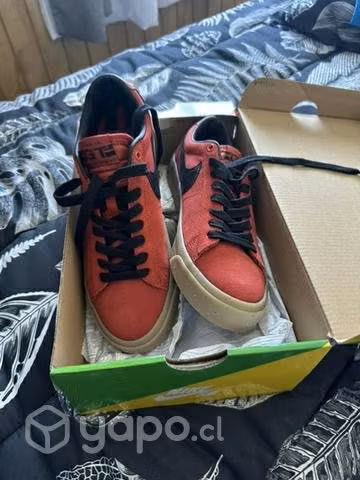 Nike blazer low pro gt