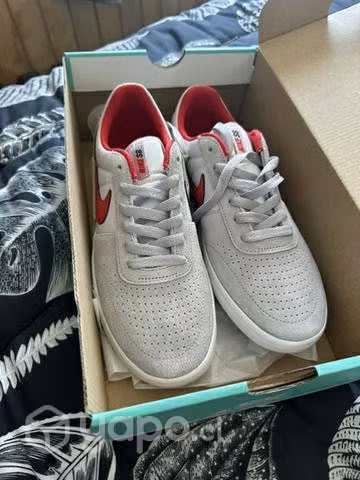 Nike sb team Classic