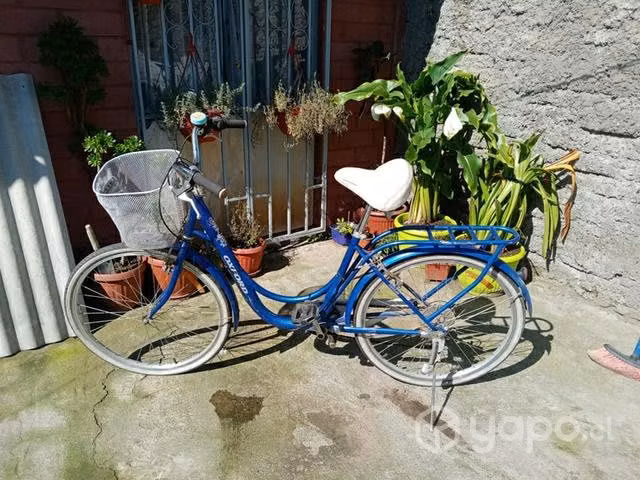 Bicicleta de paseo