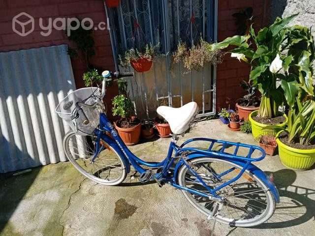 Bicicleta de paseo