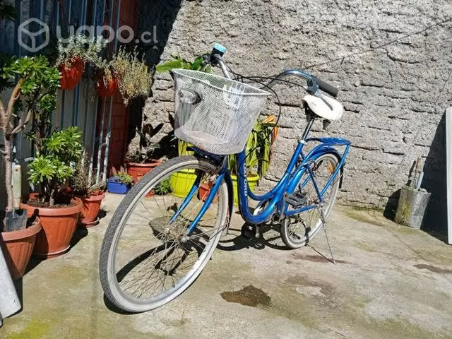 Bicicleta de paseo
