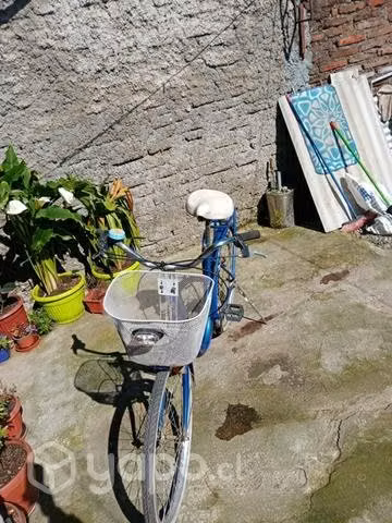Bicicleta de paseo