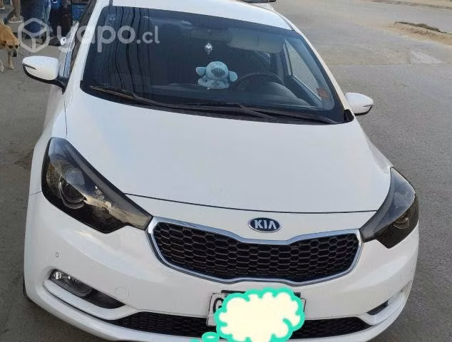 Kia motors cerato 2013