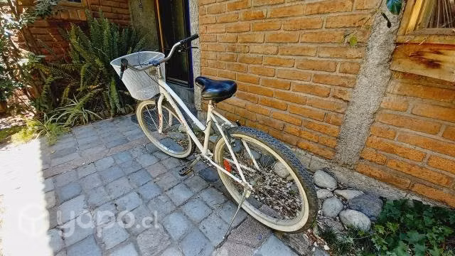 Bicicleta paseo con canasto ideal compras cerca