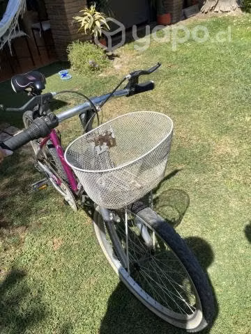 Bicicleta oxford aro 24 - Imagen 3