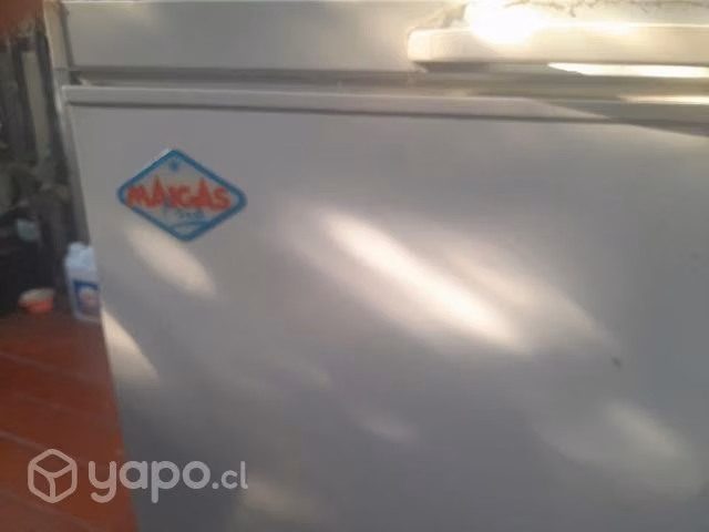 Freezer Maigas