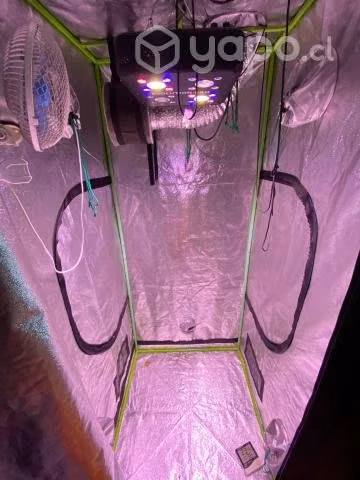 Kit apollo evolution pro 4 indoor 80x80