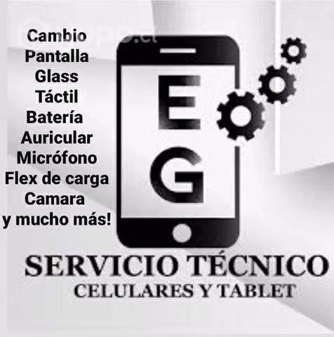 Se realiza servicio técnico a las marcas