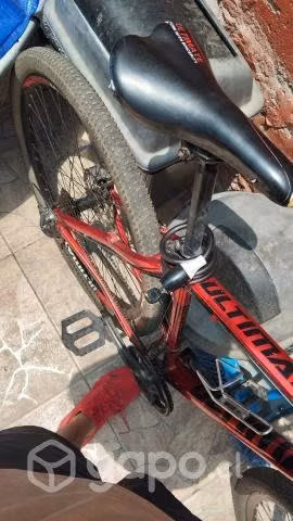 Bicicleta