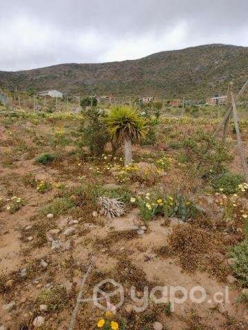 Vendo parcela en La Serena - Imagen 5