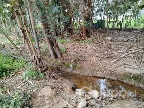 Venta terreno - Imagen 3