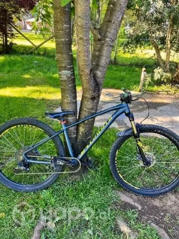 Specialized Pitch