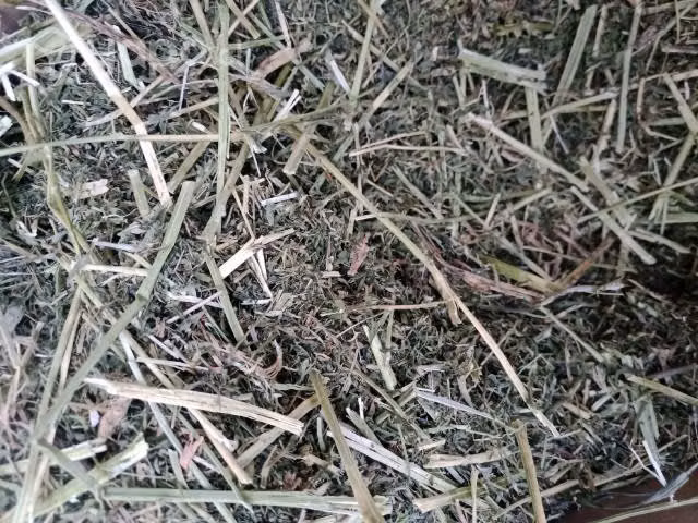 Heno de alfalfa 3kg