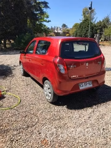 Susuki 2017