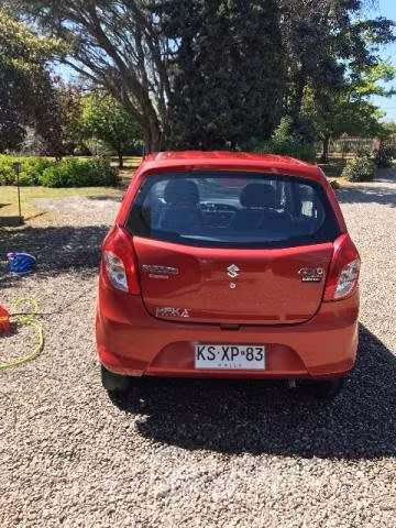 Susuki 2017