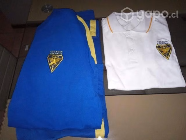 Polera y buzo colegio escasce