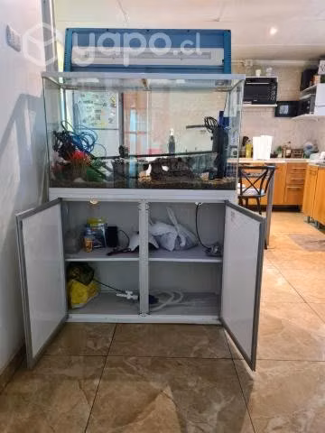 Pecera 200 litros