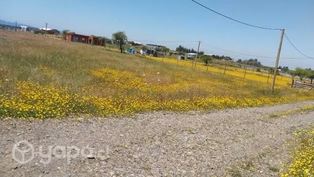 Terreno
