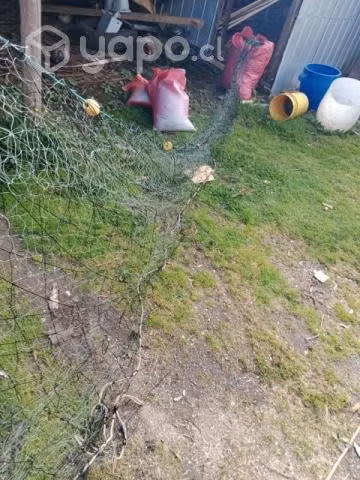 Red robalera