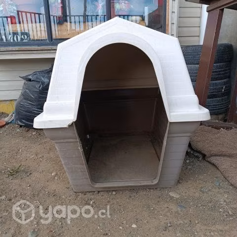 Casa Perro grande