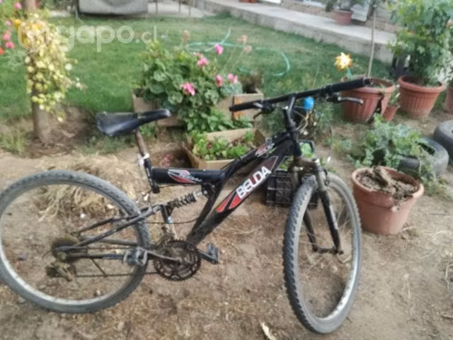 Bicicleta - Imagen 2
