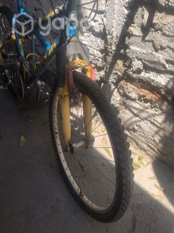 Bicicleta oxford