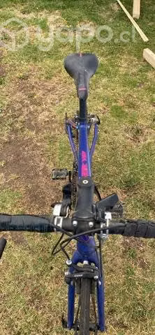 Bicicleta de calle marca tótem