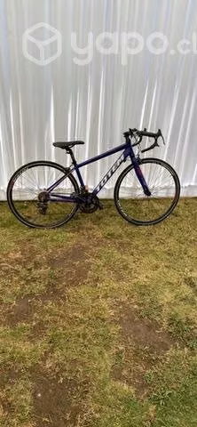 Bicicleta de calle marca tótem