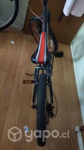 Bicicleta aro 16, conversable - Imagen 2