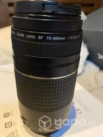 Lente Canon 75-300mm por renovación