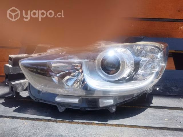 Óptico cx5