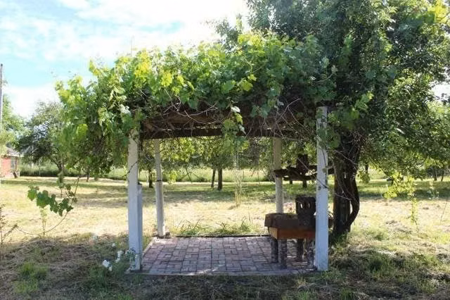 Terreno con cabaña, casa, local comercial y galpón