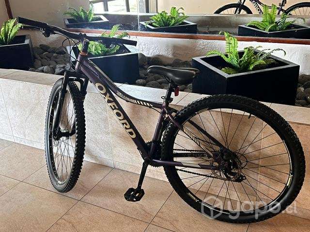 Bicicleta Oxford - Imagen 4