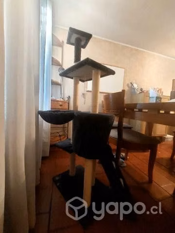Linda Estación para gato