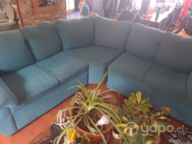 Sillones de 3 cuerpos