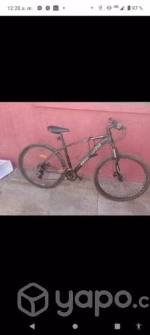 Bianchi aggressor sx 29