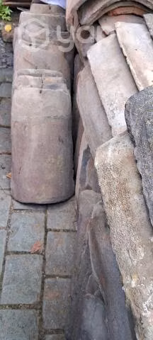Teja chilena - Imagen 4
