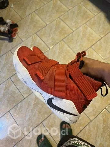 Nike lebron