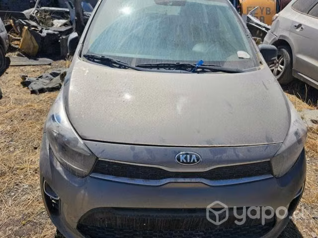 Capot kia morning 2019