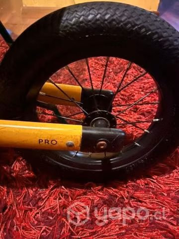 Bicicleta Roda aro 12
