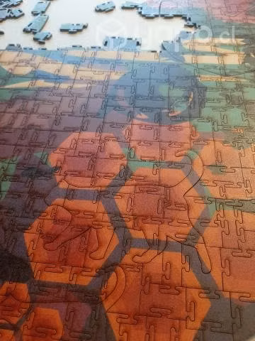 Puzzles ingenia