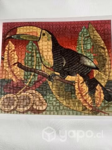 Puzzles ingenia