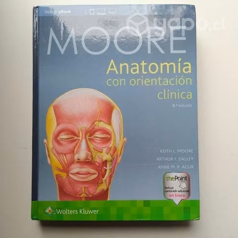 Moore Anatomía con orientación clínica 8va edición
