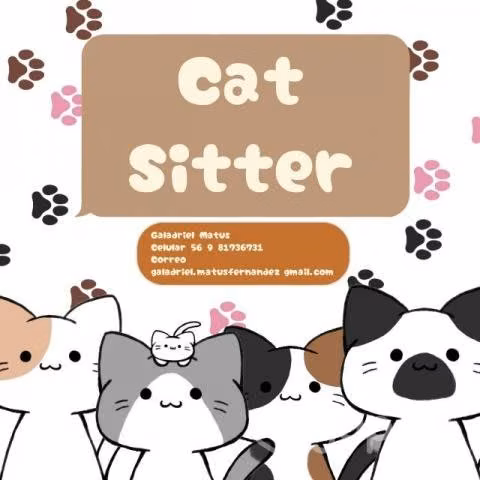Cat Sitter (Cuidadora de Felinos)