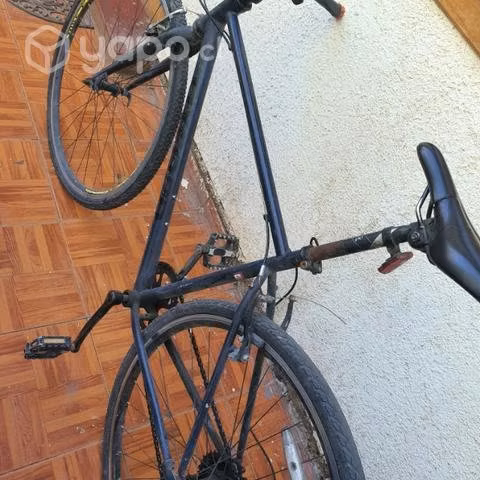 Bicicleta Oxford Citispeed 2021